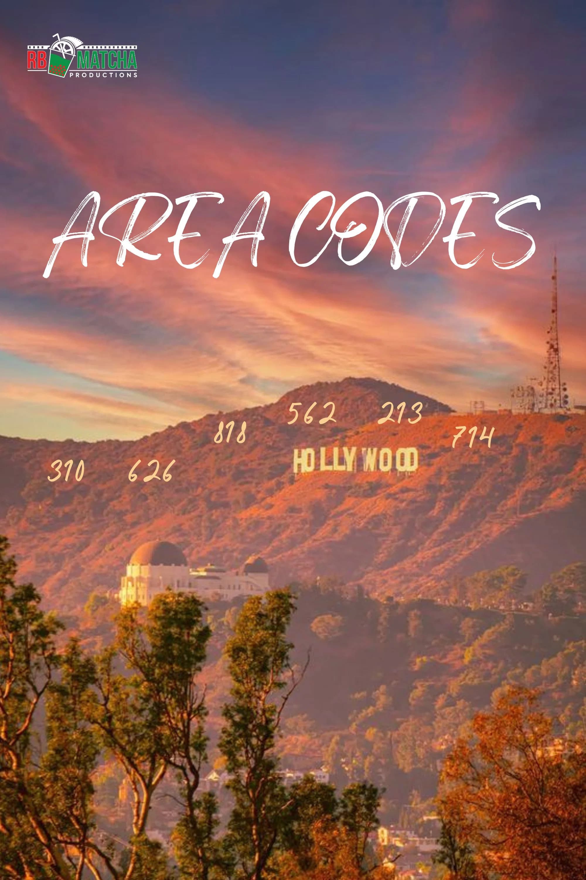 Poster for Area Codes